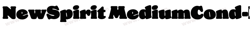 NewSpirit MediumCond字体转换